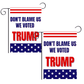 Don’t Blame Us We Voted Trump 12"x18" Garden Flag - 2 PIECES