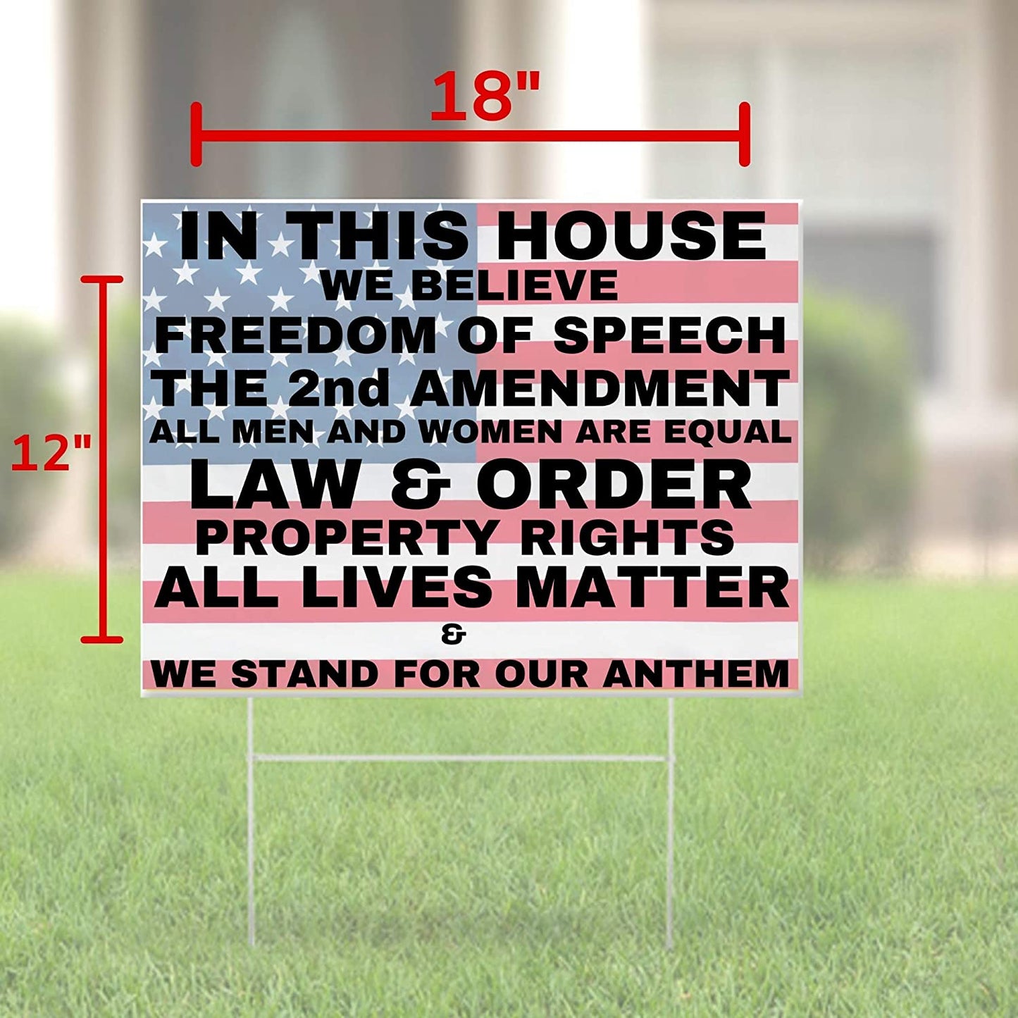 In This House We Believe in Freedom and Liberty Conservative 2nd Amendment Pro-America Yard Sign