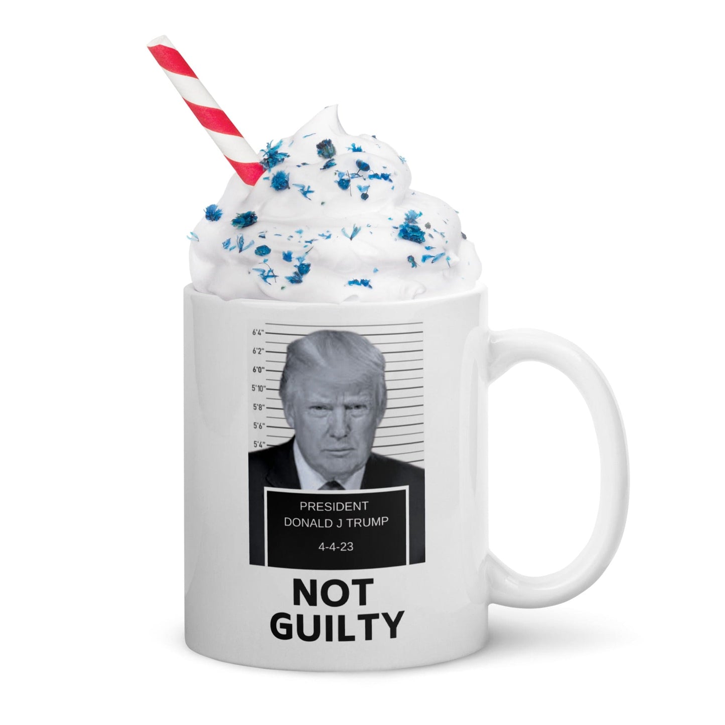 Not Guilty Trump Mugshot Mug